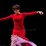Flamenco en_el_Recreo_20130109_072 CPR.jpg