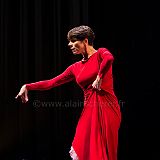 Flamenco en_el_Recreo_20130109_073 CPR.jpg