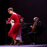 Flamenco en_el_Recreo_20130109_075 CPR.jpg
