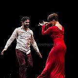 Flamenco en_el_Recreo_20130109_085 CPR.jpg