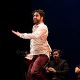 Flamenco en_el_Recreo_20130109_090 CPR.jpg