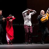 Flamenco en_el_Recreo_20130109_092 CPR.jpg