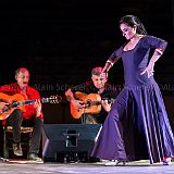 Los Ingredientes_del_Arte_Flamenco_20140809_010 CPR.jpg