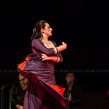 Los Ingredientes_del_Arte_Flamenco_20140809_011 CPR.jpg