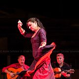 Los Ingredientes_del_Arte_Flamenco_20140809_012 CPR.jpg