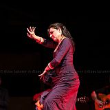 Los Ingredientes_del_Arte_Flamenco_20140809_013 CPR.jpg