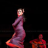 Los Ingredientes_del_Arte_Flamenco_20140809_014 CPR.jpg