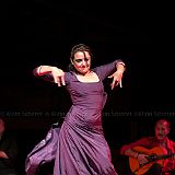 Los Ingredientes_del_Arte_Flamenco_20140809_015 CPR.jpg