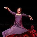 Los Ingredientes_del_Arte_Flamenco_20140809_016 CPR.jpg