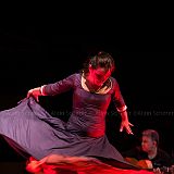 Los Ingredientes_del_Arte_Flamenco_20140809_019 CPR.jpg