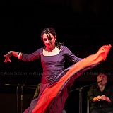 Los Ingredientes_del_Arte_Flamenco_20140809_020 CPR.jpg