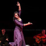 Los Ingredientes_del_Arte_Flamenco_20140809_021 CPR.jpg