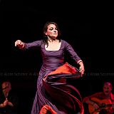 Los Ingredientes_del_Arte_Flamenco_20140809_022 CPR.jpg