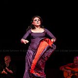 Los Ingredientes_del_Arte_Flamenco_20140809_023 CPR.jpg