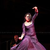 Los Ingredientes_del_Arte_Flamenco_20140809_024 CPR.jpg