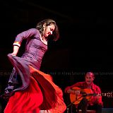 Los Ingredientes_del_Arte_Flamenco_20140809_025 CPR.jpg