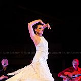 Los Ingredientes_del_Arte_Flamenco_20140809_038 CPR.jpg