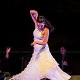 Los Ingredientes_del_Arte_Flamenco_20140809_039 CPR.jpg
