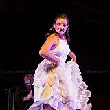 Los Ingredientes_del_Arte_Flamenco_20140809_040 CPR.jpg