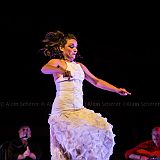 Los Ingredientes_del_Arte_Flamenco_20140809_041 CPR.jpg