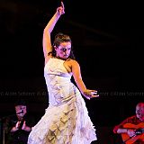 Los Ingredientes_del_Arte_Flamenco_20140809_044 CPR.jpg