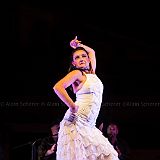 Los Ingredientes_del_Arte_Flamenco_20140809_045 CPR.jpg