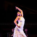 Los Ingredientes_del_Arte_Flamenco_20140809_046 CPR.jpg