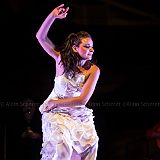 Los Ingredientes_del_Arte_Flamenco_20140809_048 CPR.jpg
