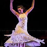 Los Ingredientes_del_Arte_Flamenco_20140809_050 CPR.jpg