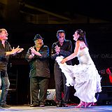 Los Ingredientes_del_Arte_Flamenco_20140809_052 CPR.jpg
