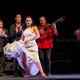 Los Ingredientes_del_Arte_Flamenco_20140809_057 CPR.jpg