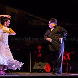 Los Ingredientes_del_Arte_Flamenco_20140809_067 CPR.jpg