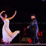 Los Ingredientes_del_Arte_Flamenco_20140809_068 CPR.jpg