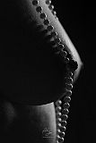 FreeWomanPics_20250313_024_web