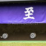 3rdSekaiTaikai TeamFinale_20180425_0210 CPR.jpg