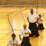 Coupe de_France_20110717_3215 CPR.jpg