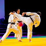 Doshow 20111007_Karate_Wado_Ryu 019.jpg