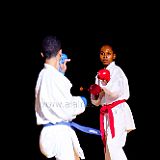 Doshow 20111007_Karate_005 CPR.jpg